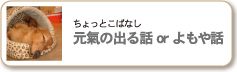 ちょっとこばなし 元氣の出る話orよもや話